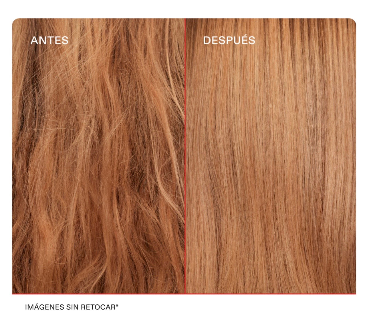 OLAPLEX
No.7 Bonding Oil (Aceite Reparador)