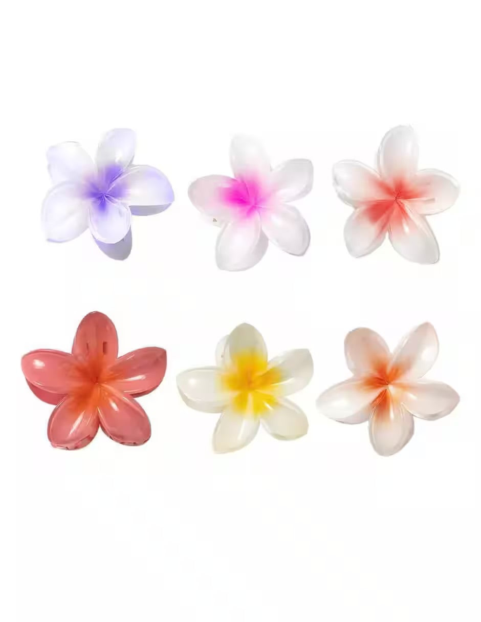 Pinzas Para Cabello Mujer 5 Pz Surtidas