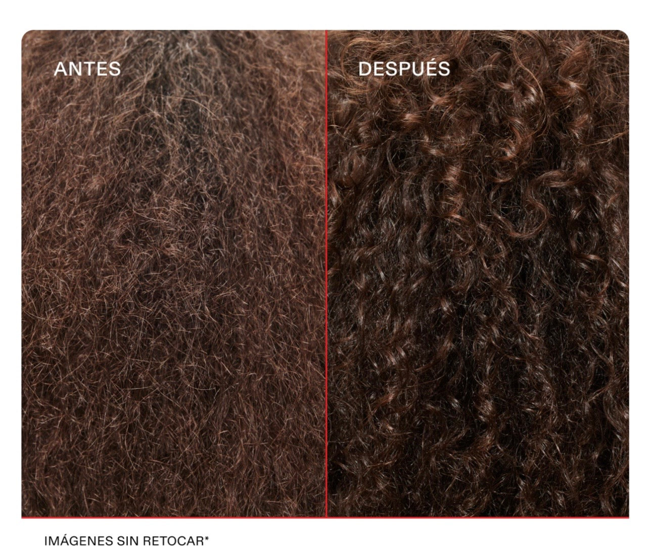 OLAPLEX
No.7 Bonding Oil (Aceite Reparador)